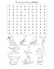 Word Search Puzzles for Kid