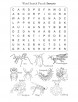 Word Search Puzzle Insects