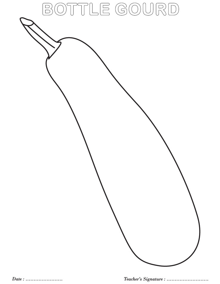 Bottle gourd coloring page