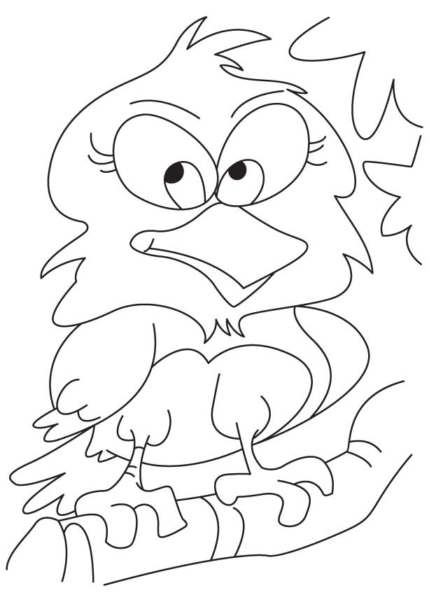 A cute owl coloring page
