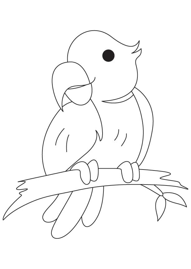 Blue fronted amazon coloring page