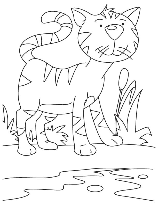 Cat searching for rat coloring page
