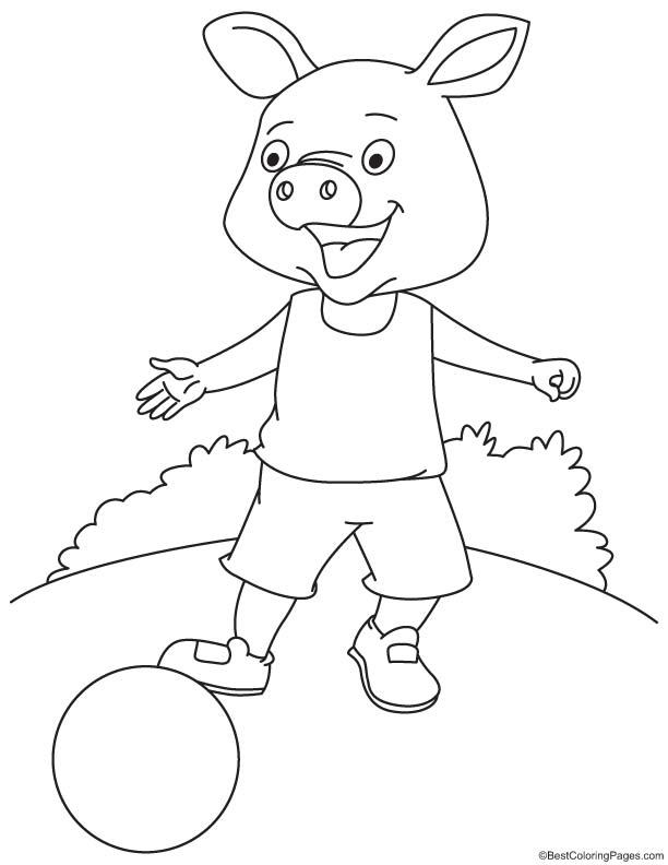 Domesticated pig coloring page