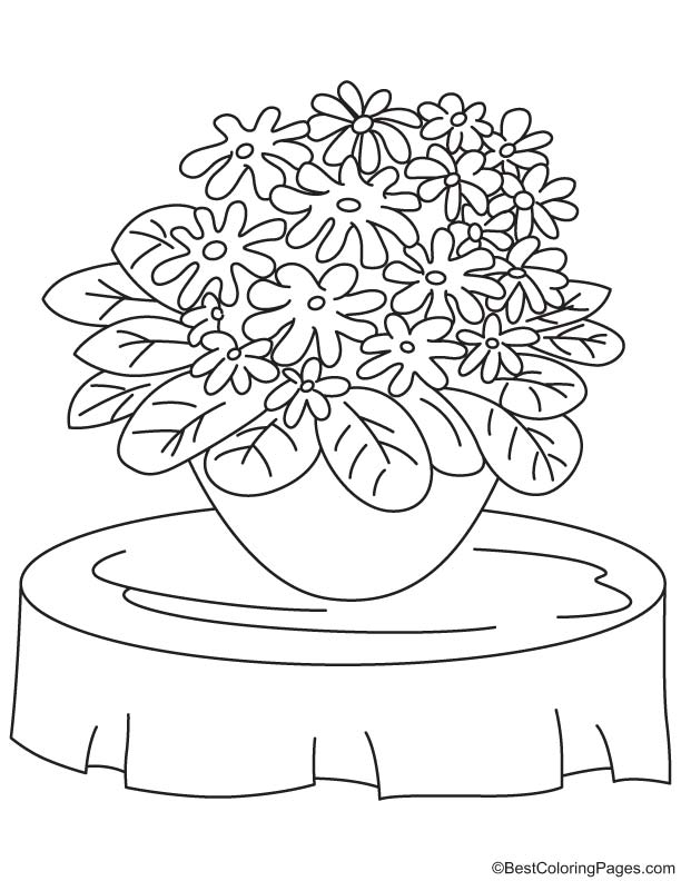 English primrose coloring page