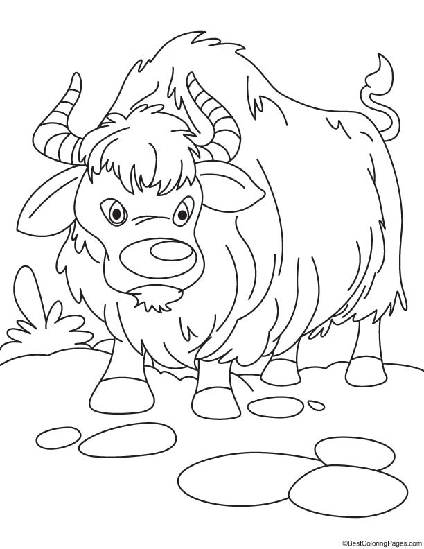 Growling yak coloring page