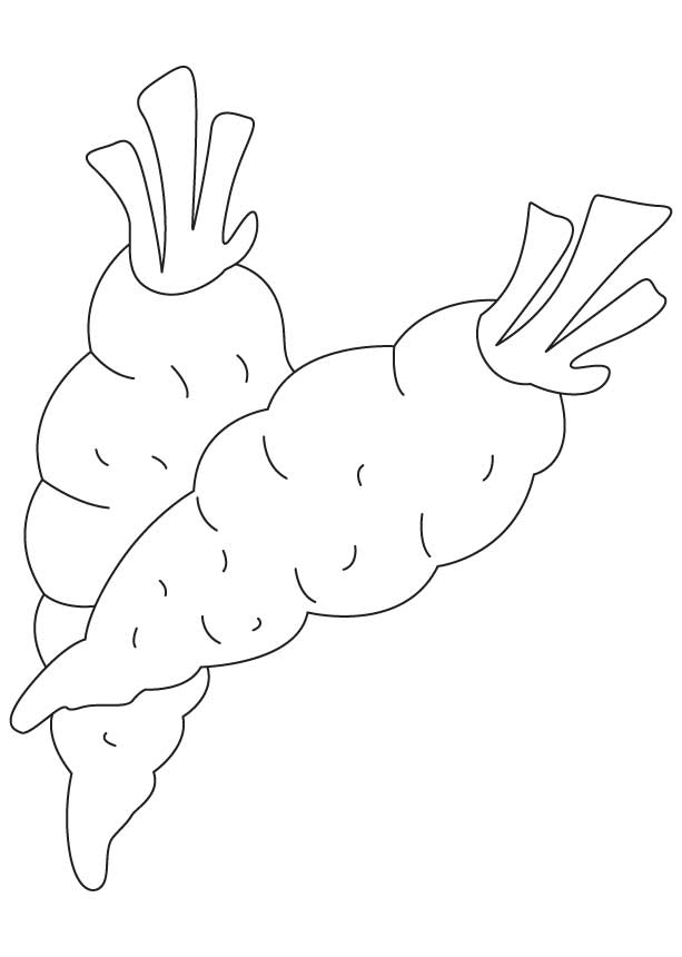 Harvested carrots coloring page