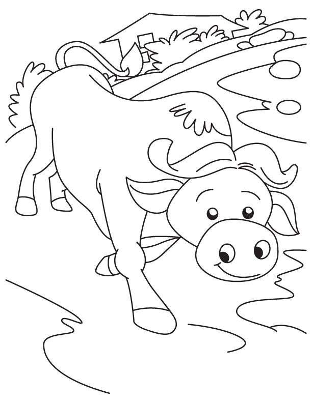 Having fun buffalo coloring page