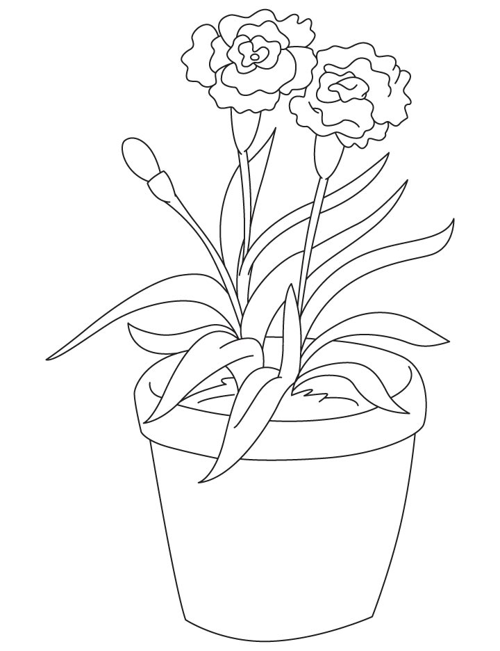 Light red carnation coloring page