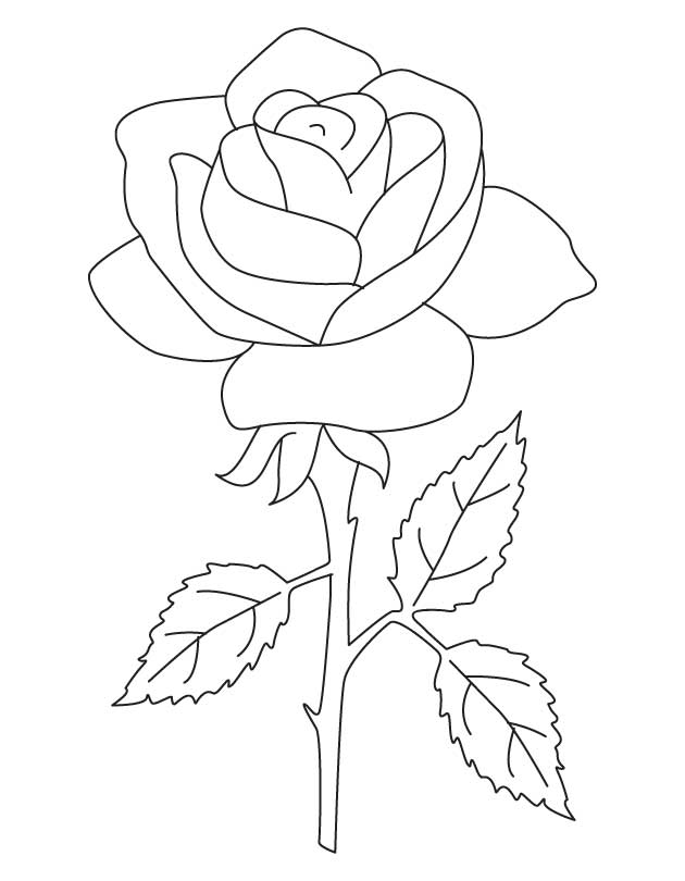 yellow rose coloring pages - photo #7