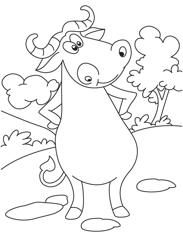 Angry buffalo coloring page