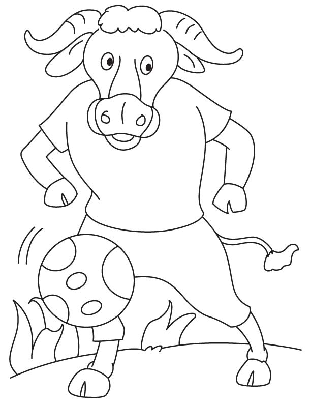 Angry bull coloring page