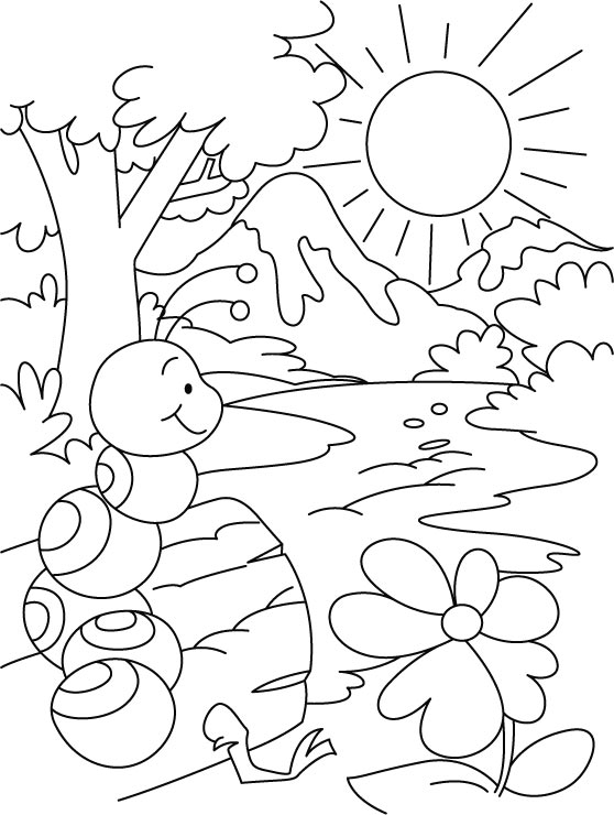 Hill or water, everywhere ant shelter coloring pages