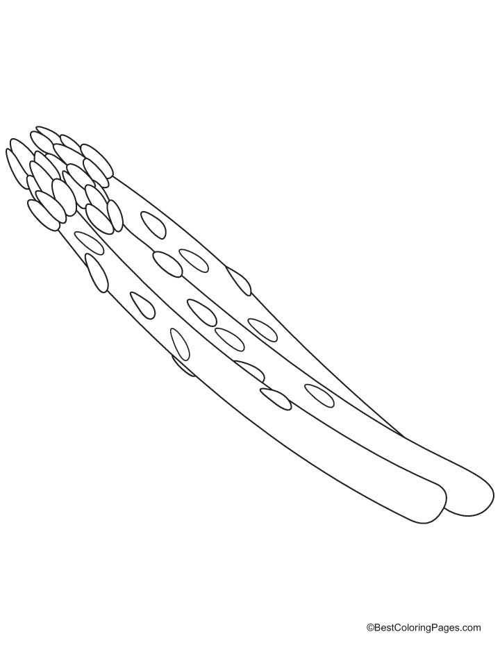 Three asparagus coloring pages