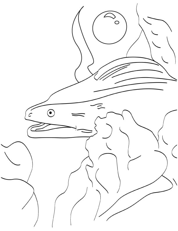 Big mouth eel coloring page