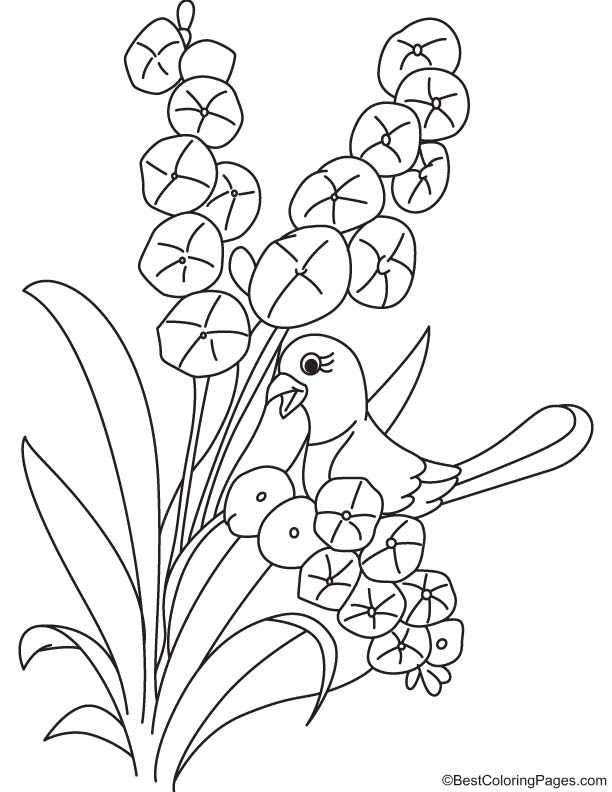Bird on orchid plant coloring page