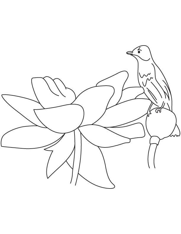 Bird sitting on lotus bud coloring page