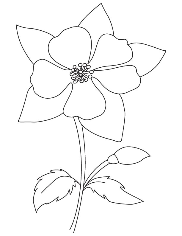 Blooming columbine coloring page