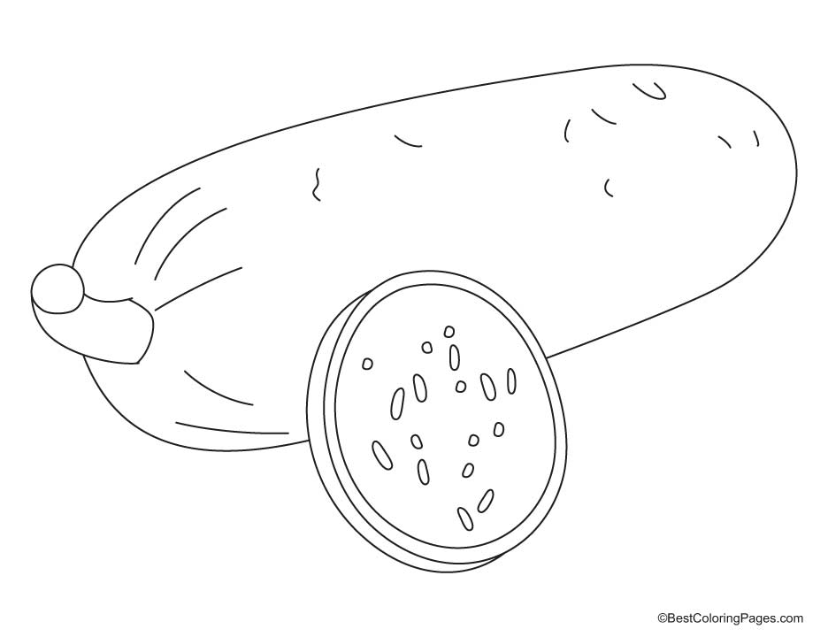 Bottle Gourd with a slice coloring pages