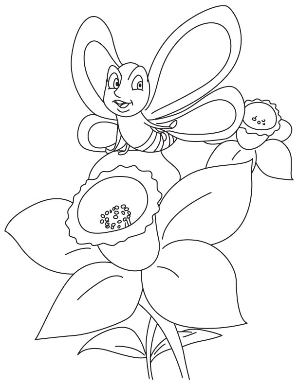 Butterfly on daffodil coloring page