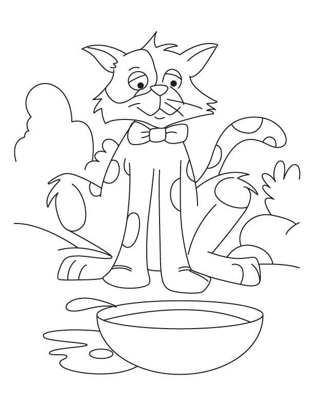 Water here, food where-Hungry cat coloring page