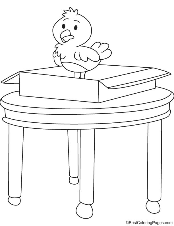 Chick in box coloring page