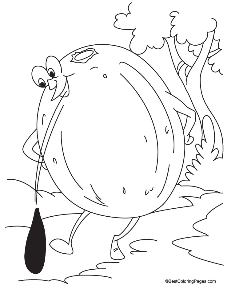 chickoo planting more chickoo tree coloring pages