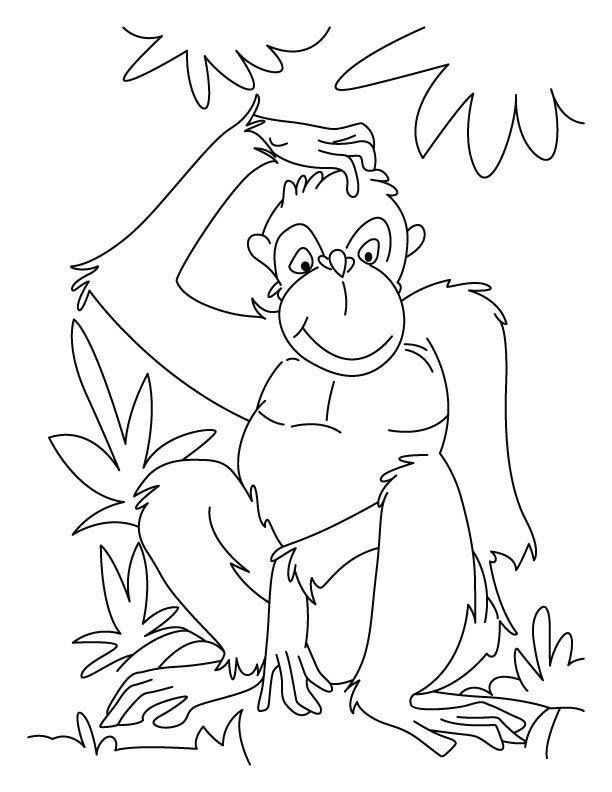 Chimpanzee in reflection mood coloring pages