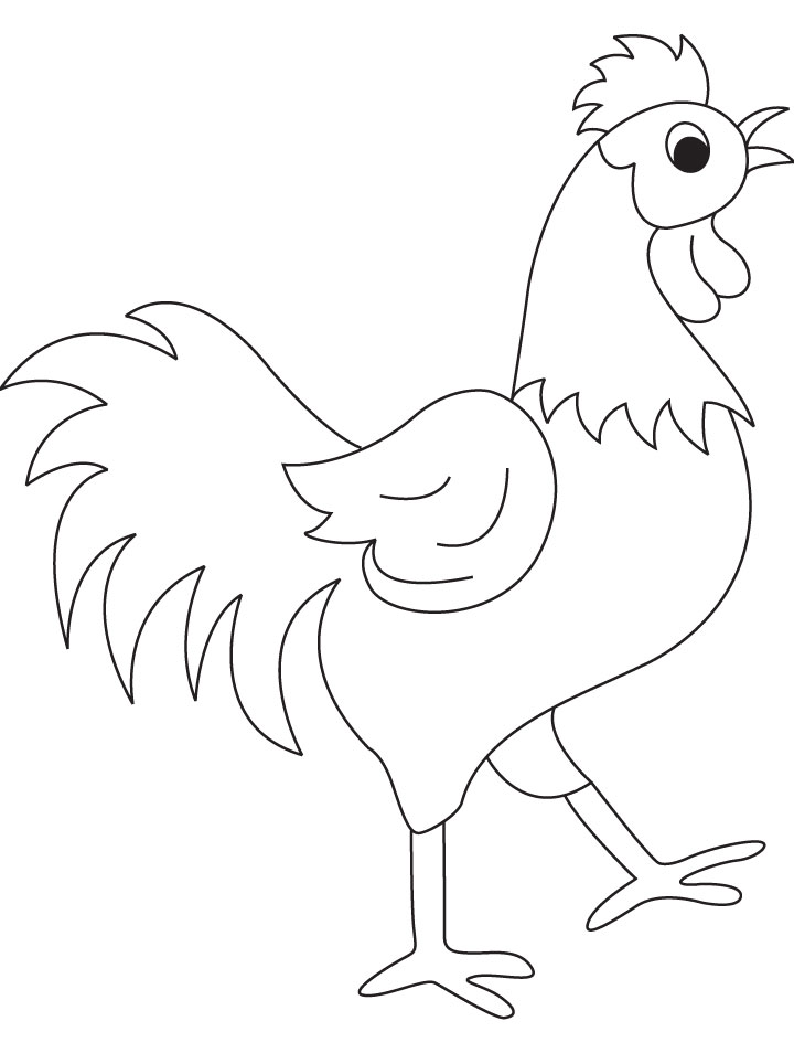 Beautyful rooster coloring page