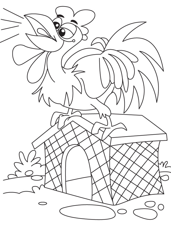 Rooster crowing on the coop coloring page