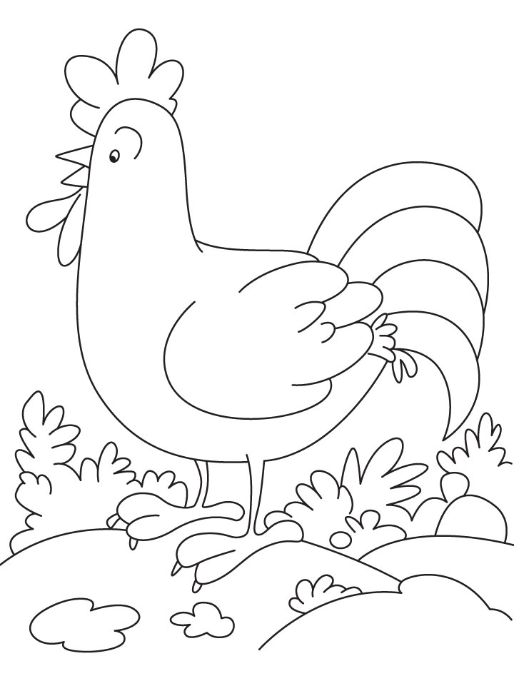 Sunday-Monday, daily andey cock coloring pages