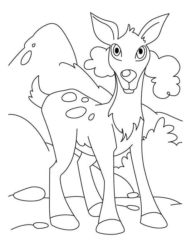 Deer pose coloring page