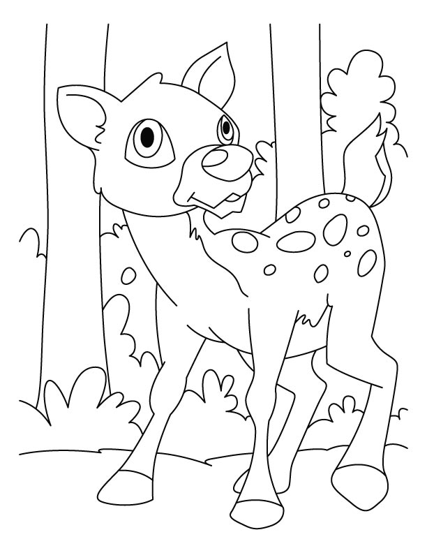 Fearful deer coloring pages