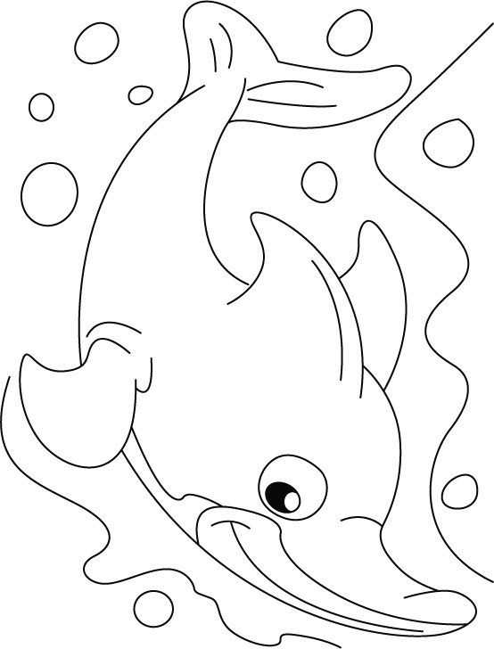 Dolphin uncommon, favorite of common coloring pages