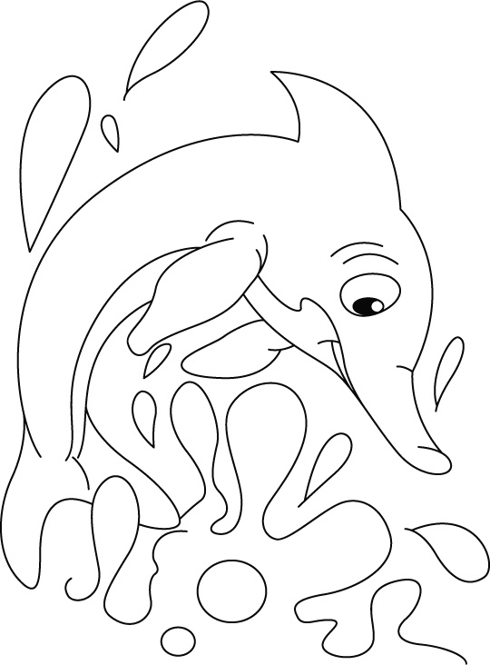Dolphin flirting water coloring pages