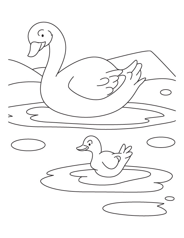 Duck with duckling coloring pages