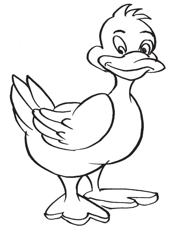 Duck bird coloring page