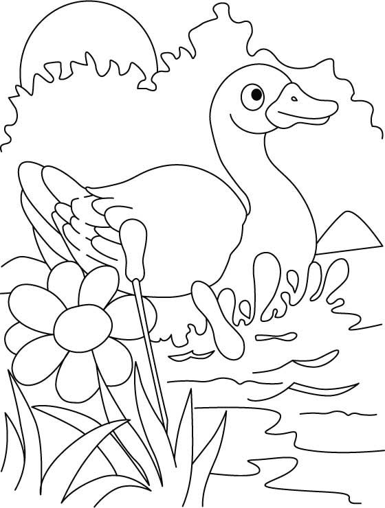 Duck the diver coloring page