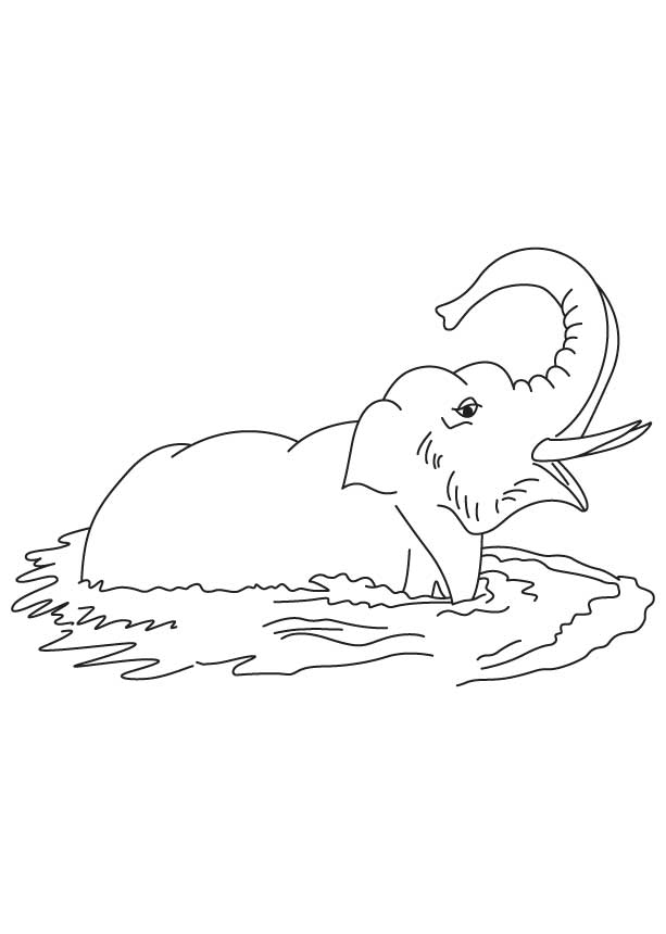 Elephant collecting muddy water coloring page
