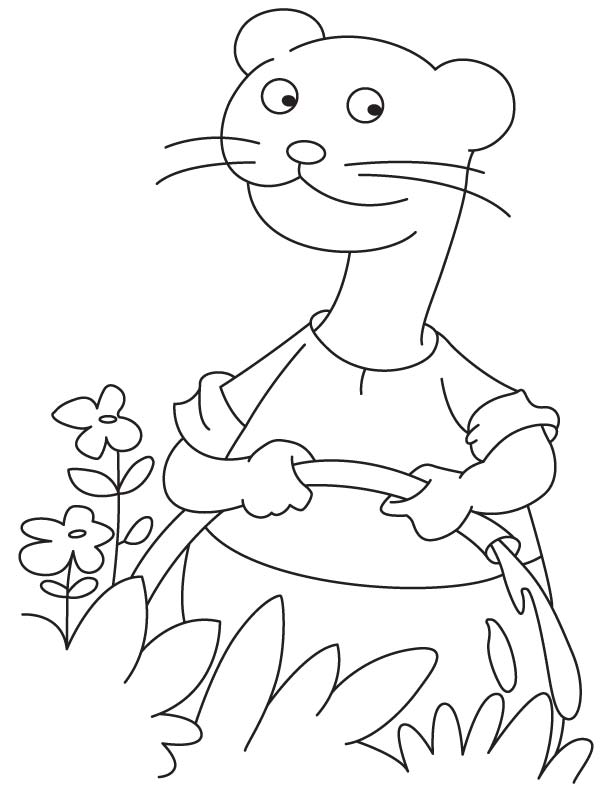 Ferret in garden coloring page
