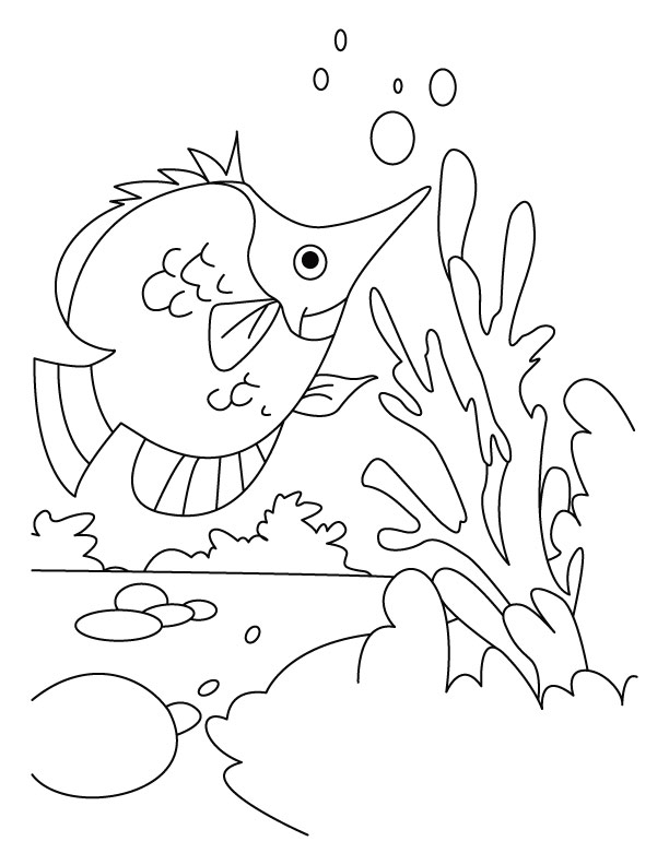 Fish hunting her dish coloring pages