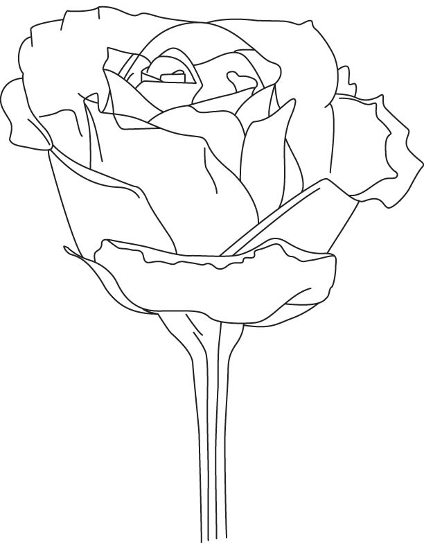 Flat rose coloring page