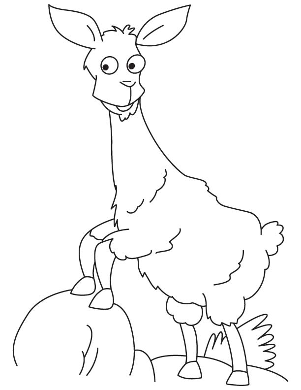 Funny Llama coloring page