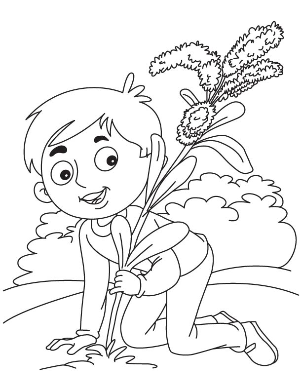 Goldenrod flowering plant coloring page