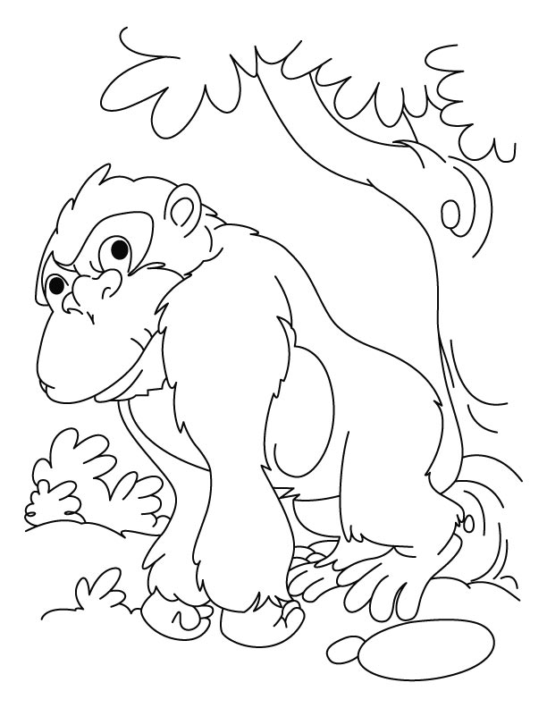 Lazy gorilla coloring pages