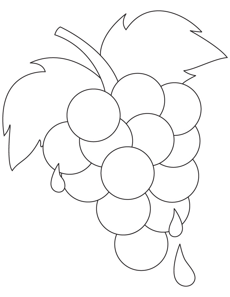 Fresh ripe grapes coloring pages | Download Free Fresh ripe grapes