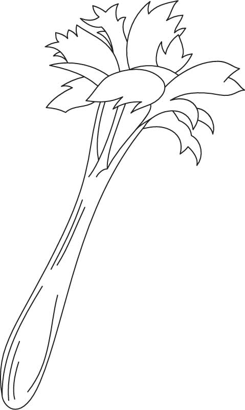 Growing celery coloring page | Download Free Growing celery coloring