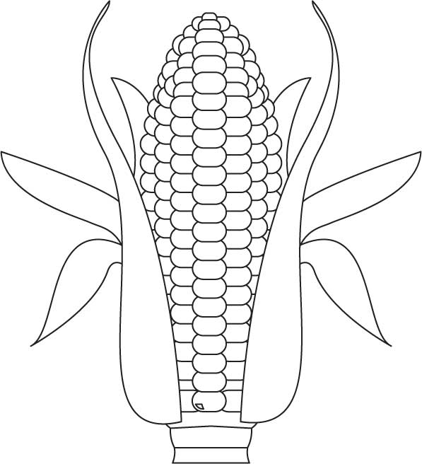 Growing corn coloring page | Download Free Growing corn ...