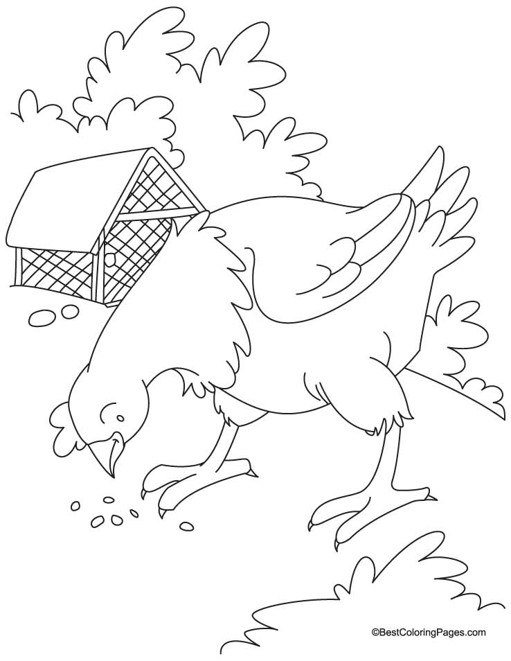 Little Red Hen Coloring Sequencing Coloring Pages