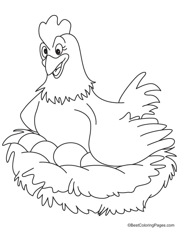 Hen laying eggs coloring page