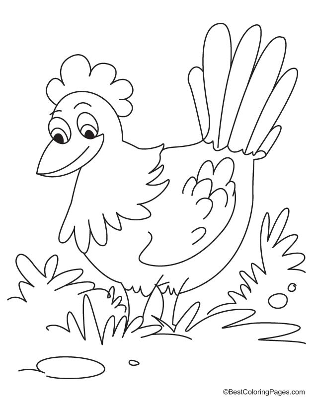 Hen coloring page 3
